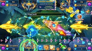 odv 555 APP နှင့် Web ကစားရုံ နှိုင်းယှဉ်ချက်